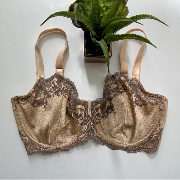 Wacoal Other - WACOAL Lace Underwire Delicate Bra 36DDD